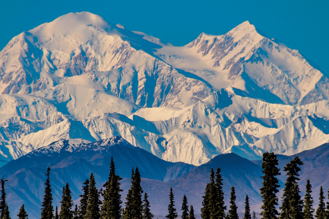 Denali e1675198636272