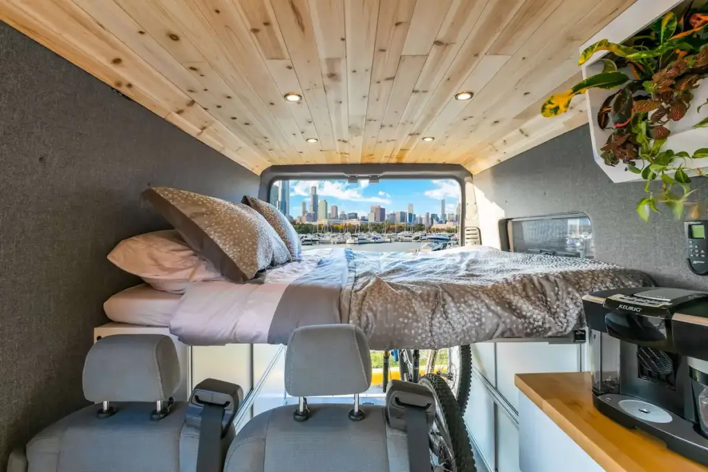 comfortable sleeping area